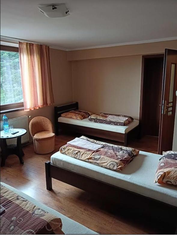 Vila Antonowka Pod Dudziarzem Radomierz Exteriér fotografie